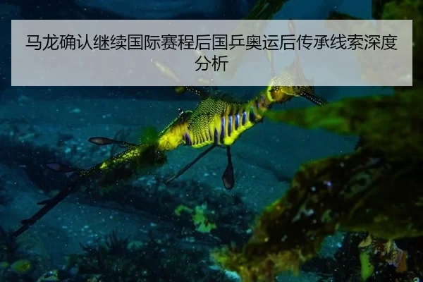 马龙确认继续国际赛程后国乒奥运后传承线索深度分析（kaiyun）